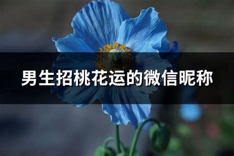 男生招桃花|招桃花催桃花的8个方法